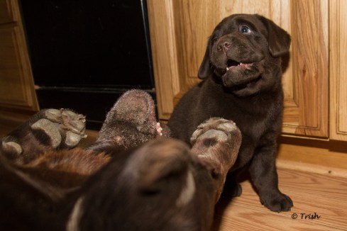 Cork BABY w daddy-2661