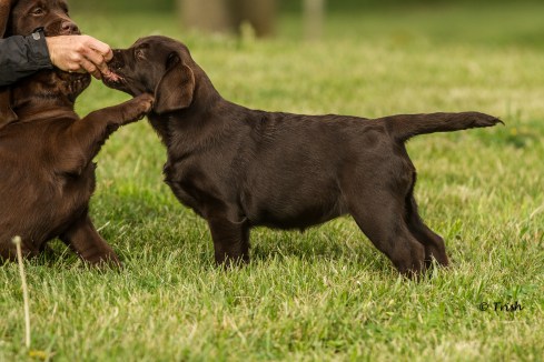 Twister baby stk-3124