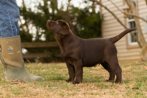 Tanq stked 3 months2