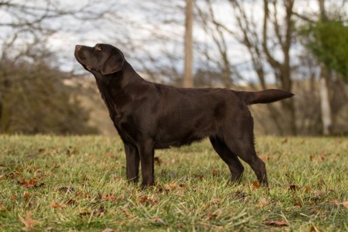 2796DF06-58EC-4F4F-801A-E7CEC90695B6