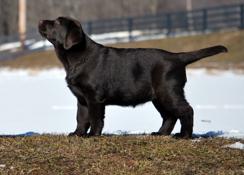 2868A0C6-1956-4FC4-9460-BD6C6F133AAC