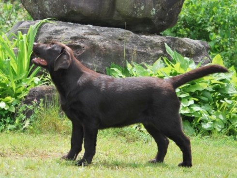 7494F7E6-B4BE-420B-9D05-4704C7561F2F