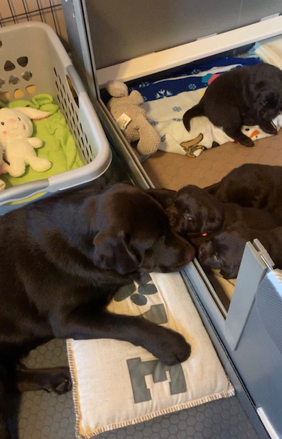 F3E81B6B-E8E4-4787-B16A-BE05E4DEEFB8